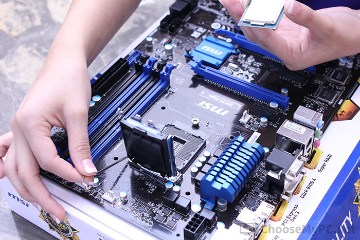 Revealing the socket